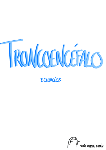 Belorcios-Troncoencefalo.pdf