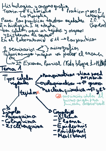 Histologia-vegetal.pdf