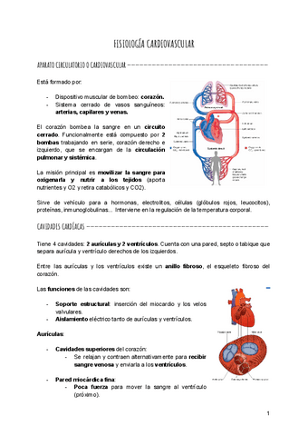 Fisiologia-cardiovascular.pdf