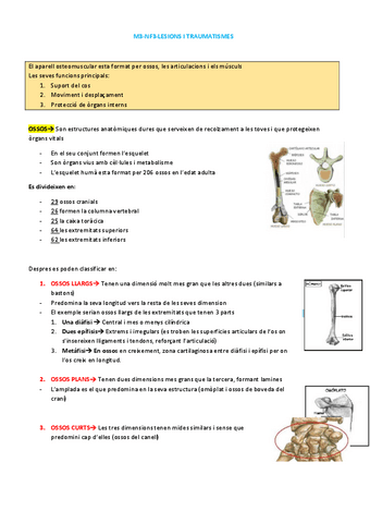 APUNTS-M3-LESIONS-I-TRAUMATISMES.pdf