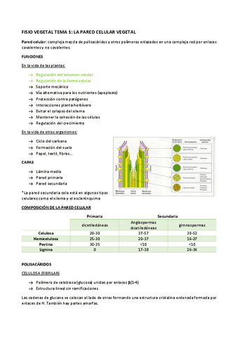 FISIO-VEGETAL-TEMA-1.pdf