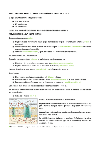 FISIO-VEGETAL-TEMA-3.pdf