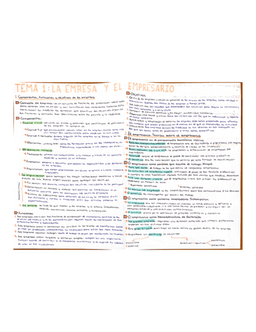 Tema-1-La-empresa-y-el-empresario.pdf