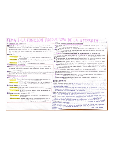 Tema-2-La-funcion-productiva-de-la-empresa.pdf