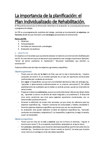 Plan-Individualizado-de-Rehabilitacion-PIR.pdf