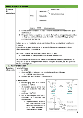 FAR-Tema5metabolisme.pdf