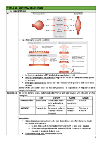 FAR-Tema13colinergic.pdf