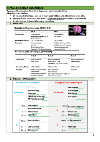 FAR-Tema14adrenergic.pdf