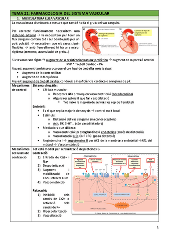 FAR-Tema21cardio.pdf