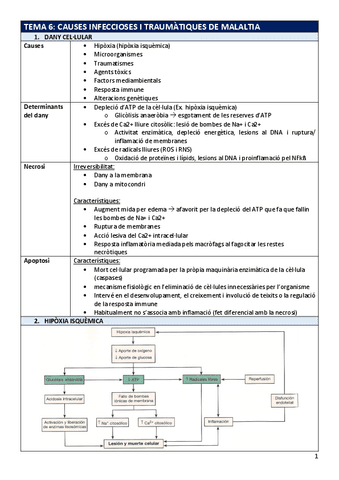 FP-Tema6infeccions.pdf