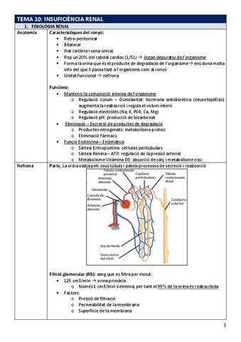 FP-Tema10insrenal.pdf