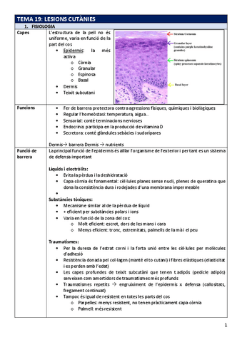 FP-Tema19cutanies.pdf
