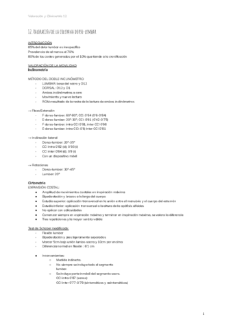 12.-Valoracion-de-la-columna-dorso-lumbar.pdf