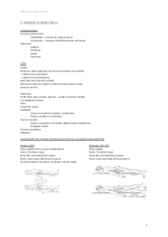 14.-Valoracion-de-cadera-y-rodilla.pdf