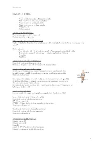 Biomecanica-de-la-rodilla-3.pdf