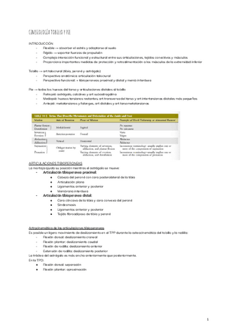 CINESIOLOGIA-TOBILLO-Y-PIE-2.pdf