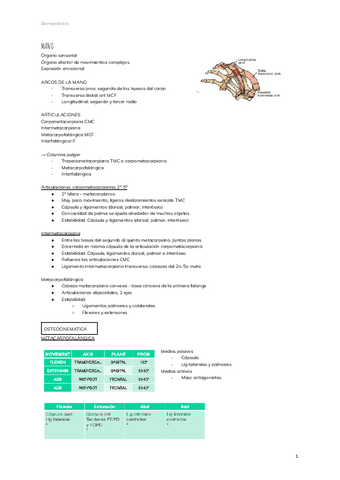 MANO-3.pdf