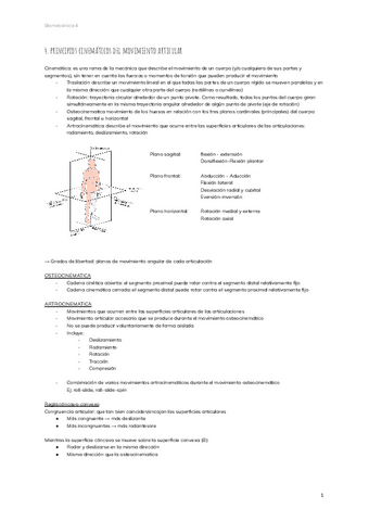 principios-cinematicos-del-movimiento-articular-2.pdf