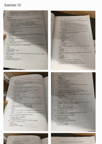 Exercici-tipo-test-teoria.pdf