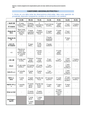 CUESTIONES-ADICIONALES-PRACTICA-1.pdf