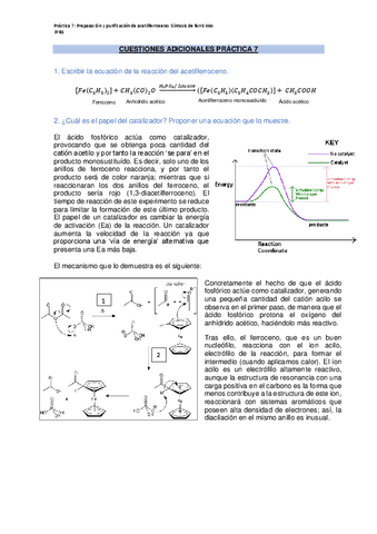 CUESTIONES-ADICIONALES-PRACTICA-7.pdf