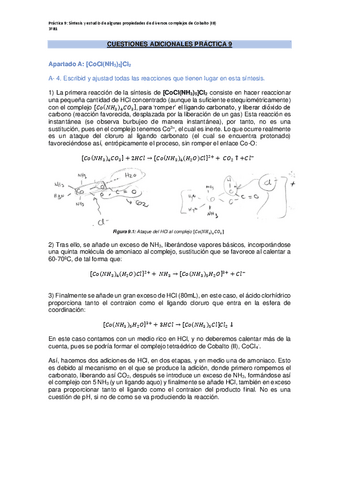 CUESTIONES-ADICIONALES-PRACTICA-9.pdf