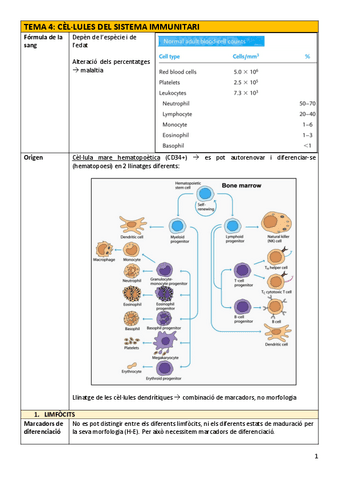 IMM-Tema4cellules.pdf
