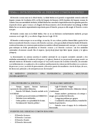 D-EUROPEO.pdf