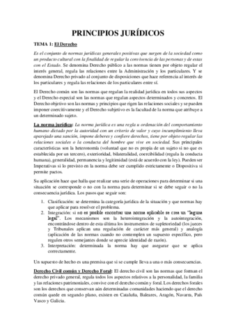 Principios-Juridicos.pdf