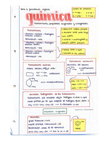 QUIMICA-ORGANICA.pdf