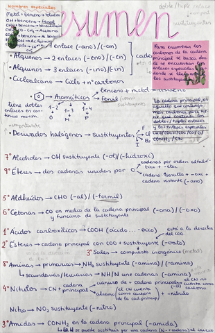 RESUMENCHULETA-FORMULACION-ORGANICA.pdf