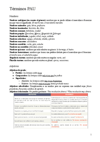 Terminos-PAU-explicados.pdf