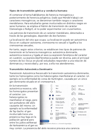Tipos-de-transmision-genica-y-conducta-humana.pdf