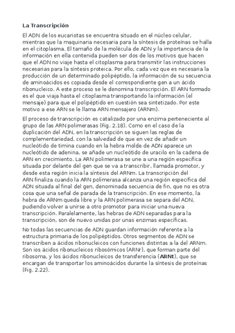 La-Transcripcion.pdf