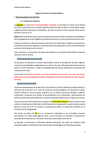Tema-5-Neuropsicologia.pdf