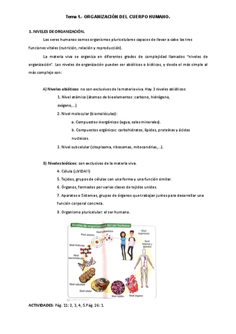ORGANIZACION-C.-HUMANO.pdf