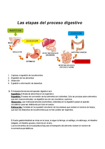 Fisiologia-de-la-digestion.pdf