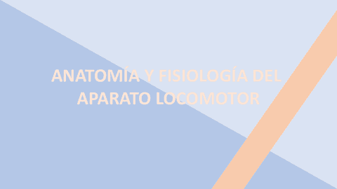 anatomia-y-fisiologia-del-aparato-locomotor.pdf