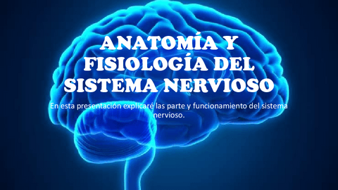 ANATOMIA-Y-FISIOLOGIA-DEL-SISTEMA-NERVIOSO.pdf