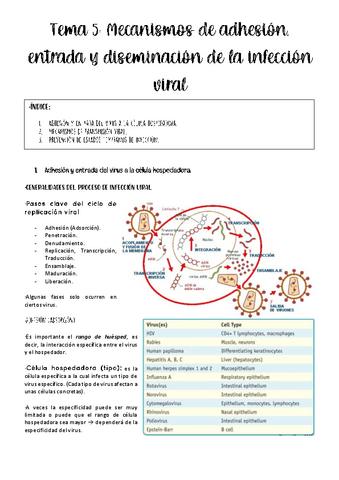 tema-5-viro.pdf