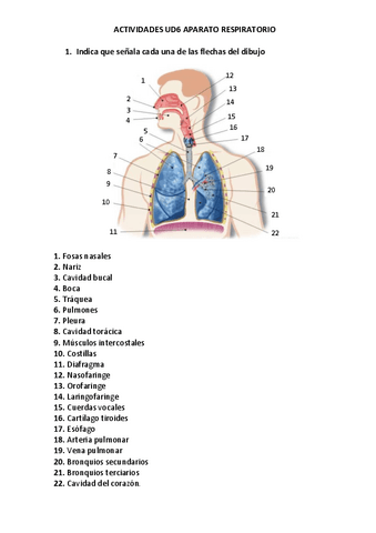 APARATO-RESPIRATORIO.pdf