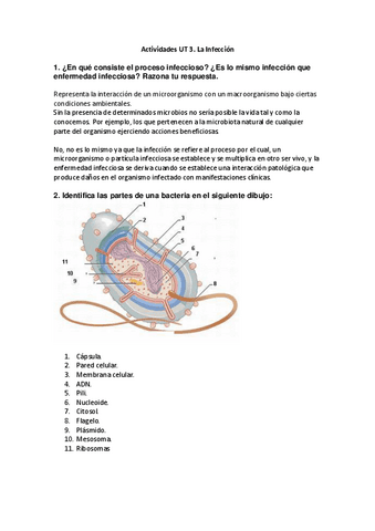 La-Infeccion.pdf