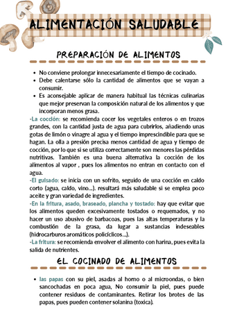 ALIMENTACION-SALUDABLE-resumen.pdf