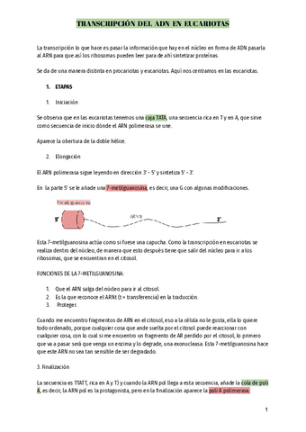 Transcripcion-del-ADN.pdf