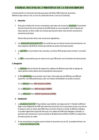 TRANSCRIPCION-enzimas....pdf