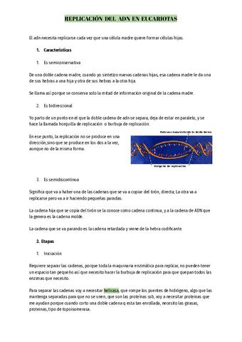 Replicacion-del-ADN.pdf