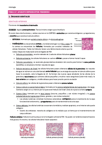 TEMA 17 - Aparato reproductor femenino.pdf