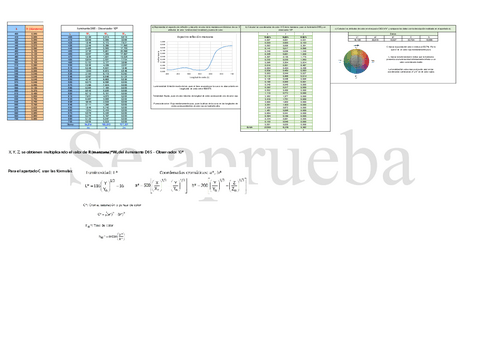 PI 4 Color Excel Resuelta + indicaciones.pdf