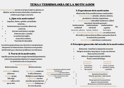 Tema-2-Resumen-Final.pdf