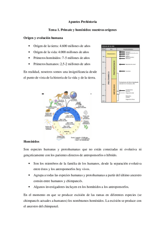 Apuntes Tema 1 Prehistoria Pdf